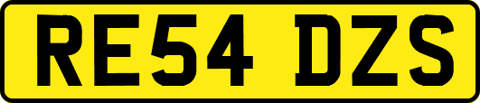 RE54DZS