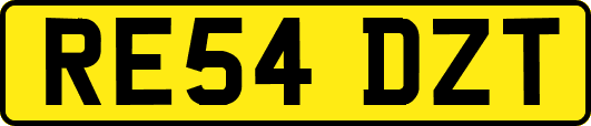 RE54DZT