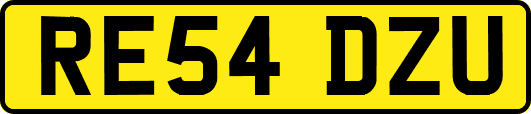 RE54DZU