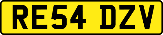 RE54DZV