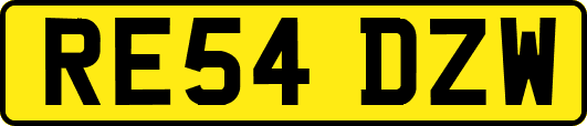 RE54DZW