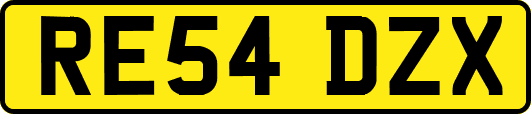 RE54DZX
