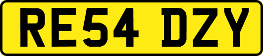 RE54DZY