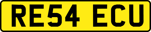 RE54ECU