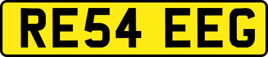 RE54EEG