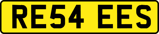 RE54EES