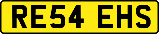 RE54EHS