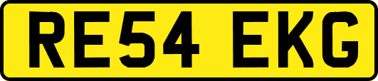 RE54EKG