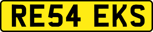 RE54EKS
