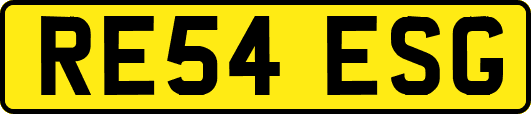RE54ESG