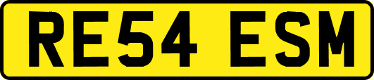 RE54ESM