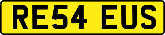 RE54EUS