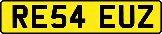 RE54EUZ
