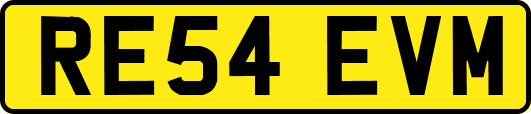 RE54EVM