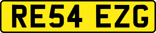 RE54EZG