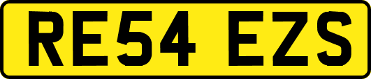 RE54EZS