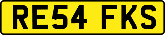 RE54FKS