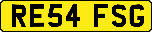 RE54FSG