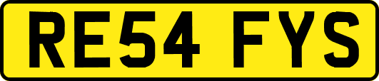 RE54FYS