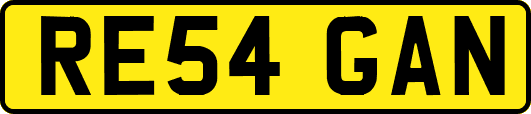 RE54GAN