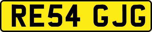 RE54GJG