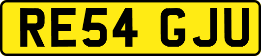 RE54GJU