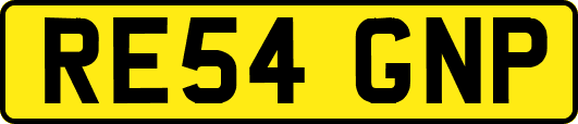 RE54GNP