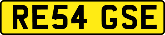 RE54GSE