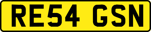 RE54GSN