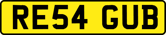 RE54GUB