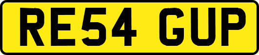 RE54GUP