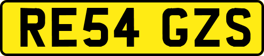 RE54GZS