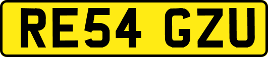 RE54GZU