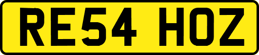 RE54HOZ
