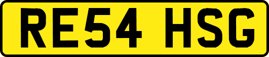 RE54HSG