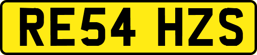 RE54HZS