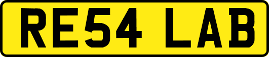 RE54LAB