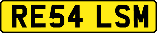 RE54LSM