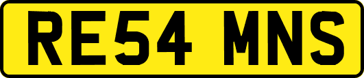 RE54MNS