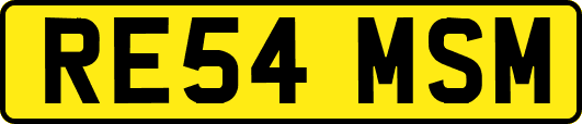 RE54MSM