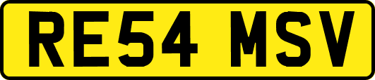 RE54MSV