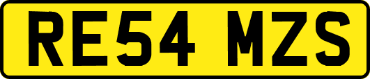 RE54MZS