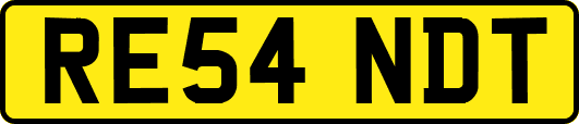 RE54NDT