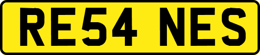 RE54NES