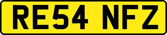 RE54NFZ