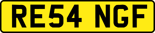 RE54NGF
