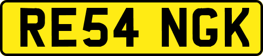 RE54NGK