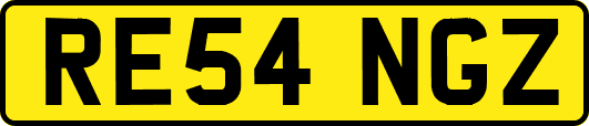 RE54NGZ