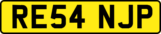 RE54NJP