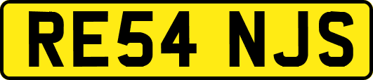 RE54NJS